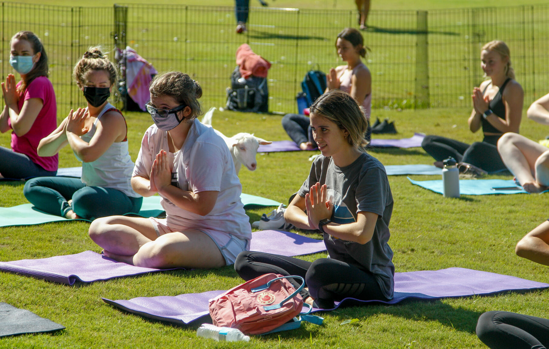 Welcome Week Goat Yoga